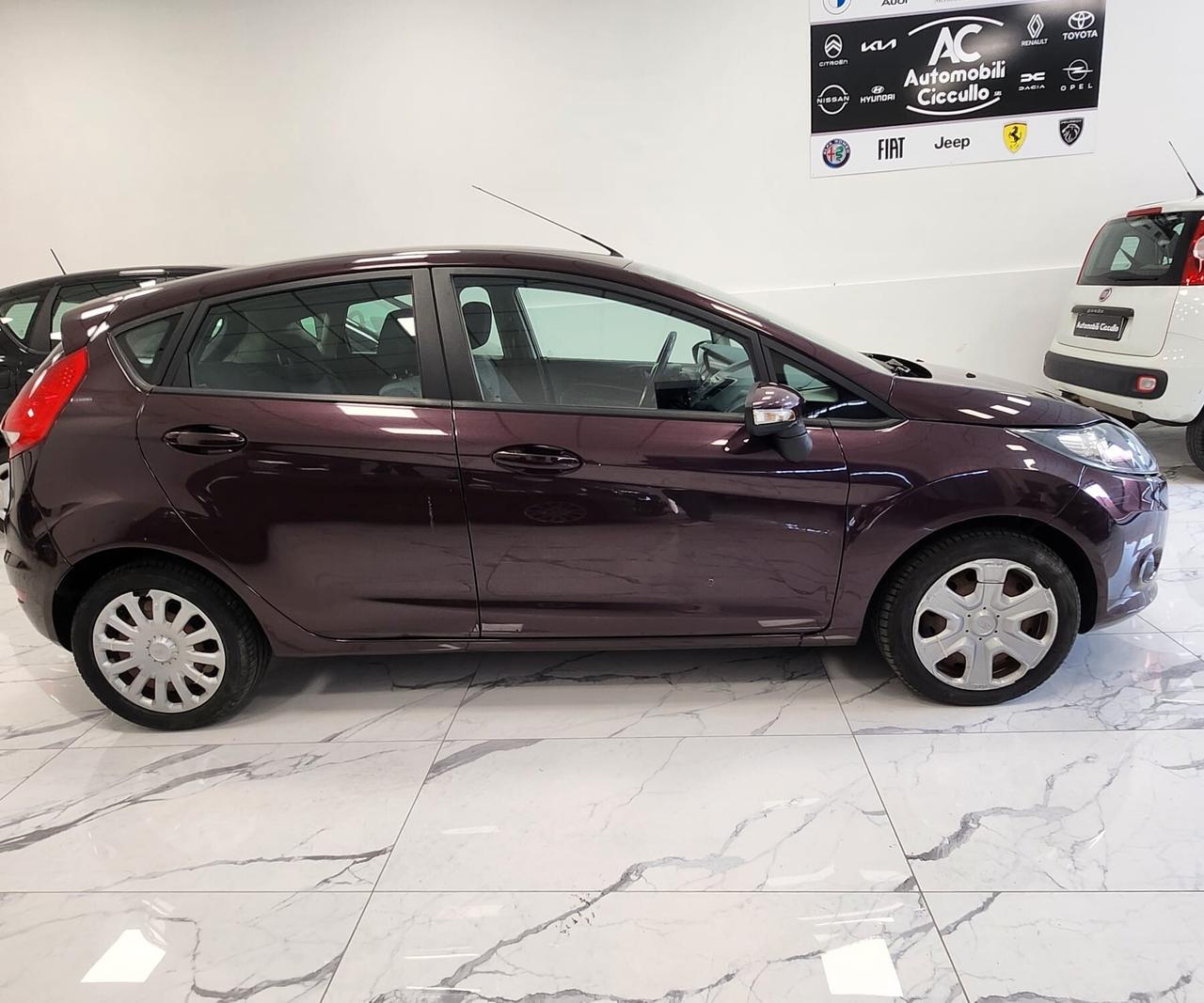 Ford Fiesta 1.4 TDCi 68CV 5 porte Titanium