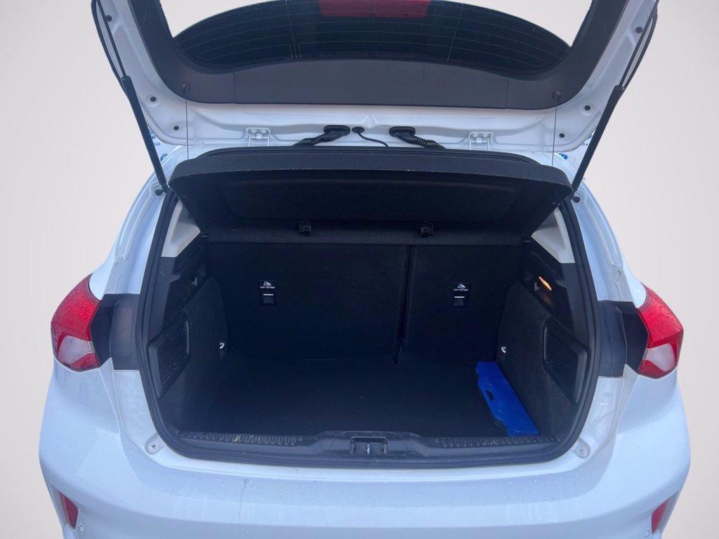 FORD Focus 1.0 EcoBoost Hybrid 125 CV 5p. Active del 2022