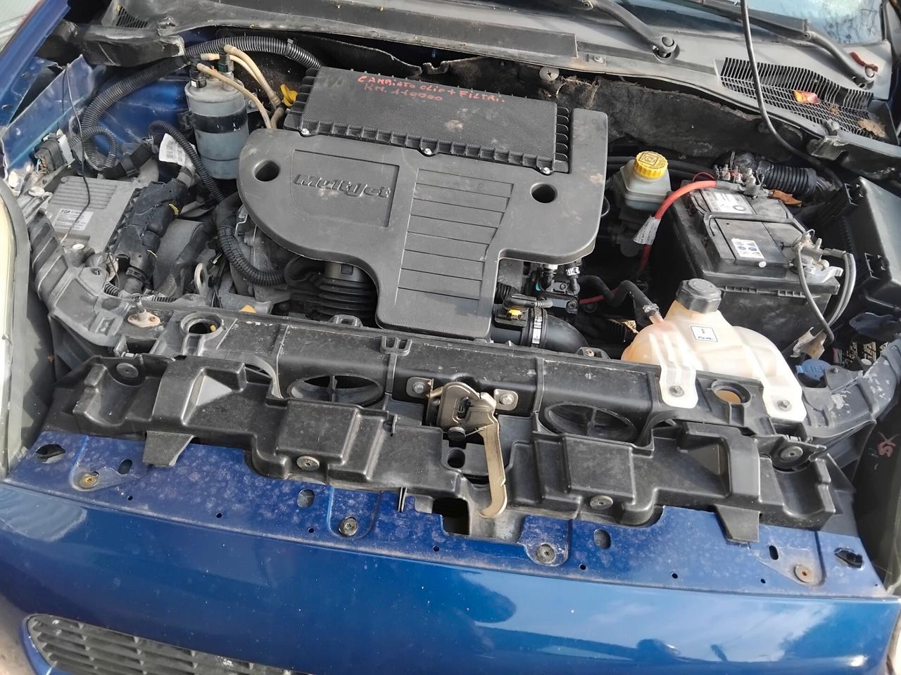 Fiat Punto 1.3 Multijet 16V 5 porte Actual