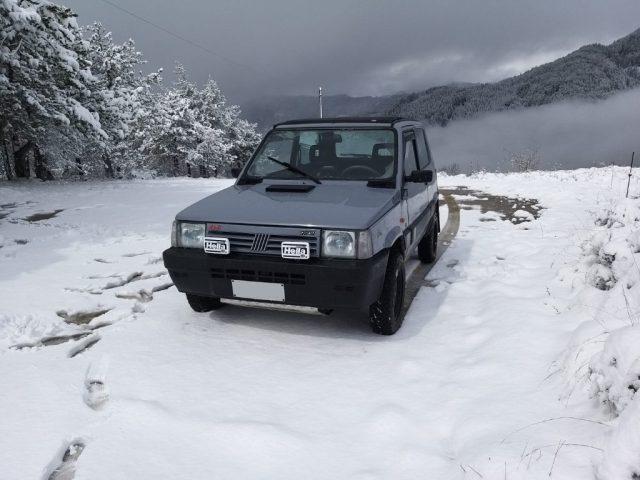 FIAT Panda 1ª serie 1000 4x4 Trekking