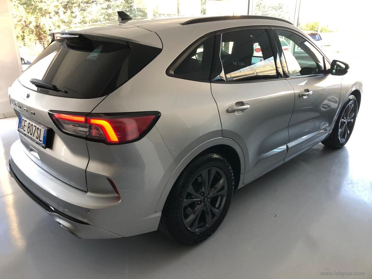 FORD Kuga 1.5 EcoBlue 120 CV 2WD ST-Line X