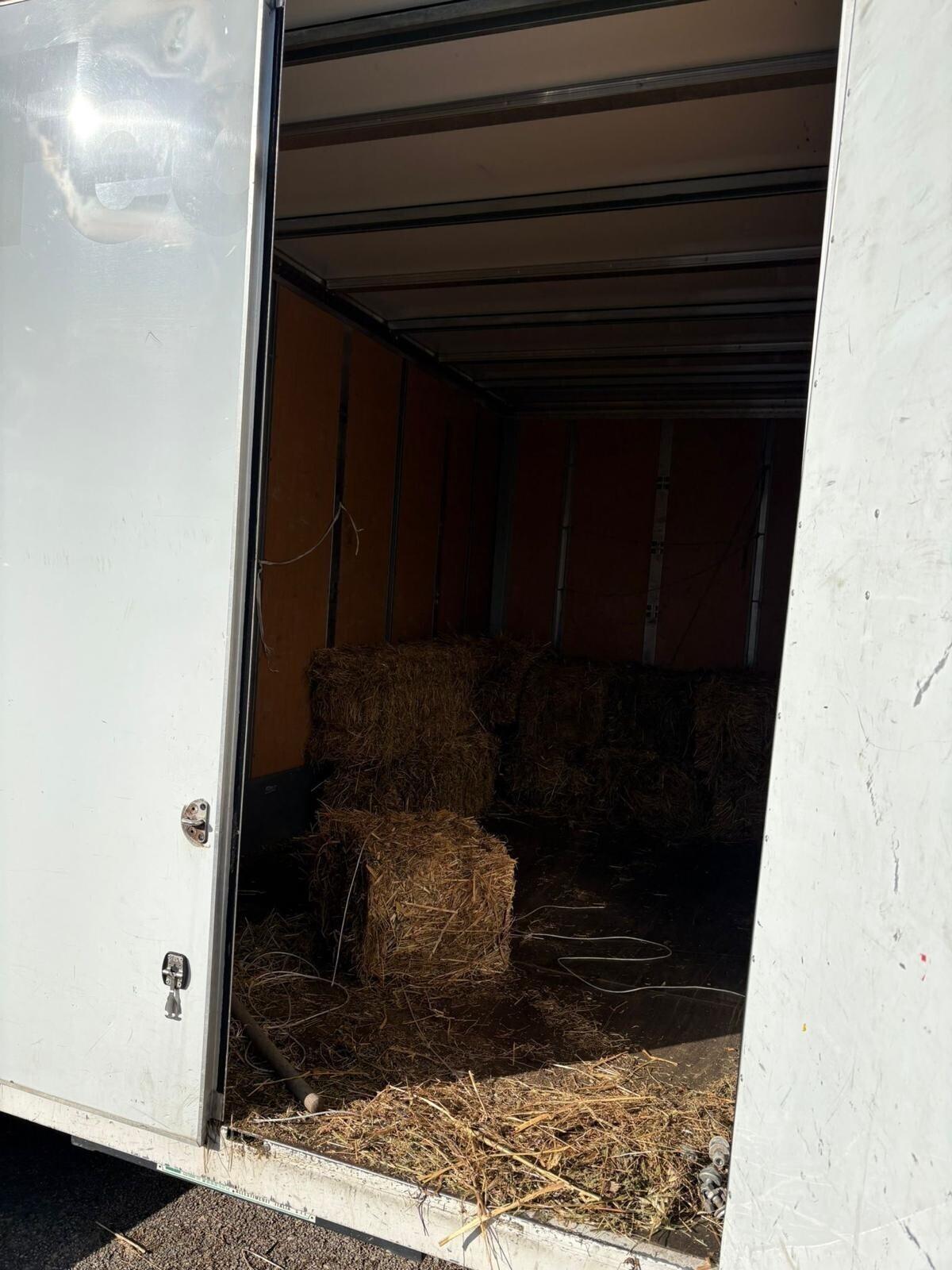 CASSONE IVECO DAILY