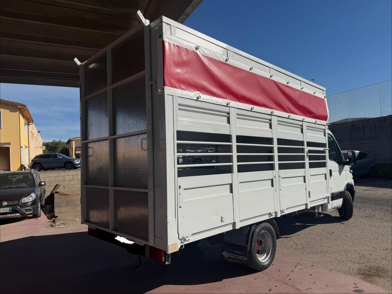 Iveco Daily 35c13 2.8 130cv trasporto animali vivi patente B