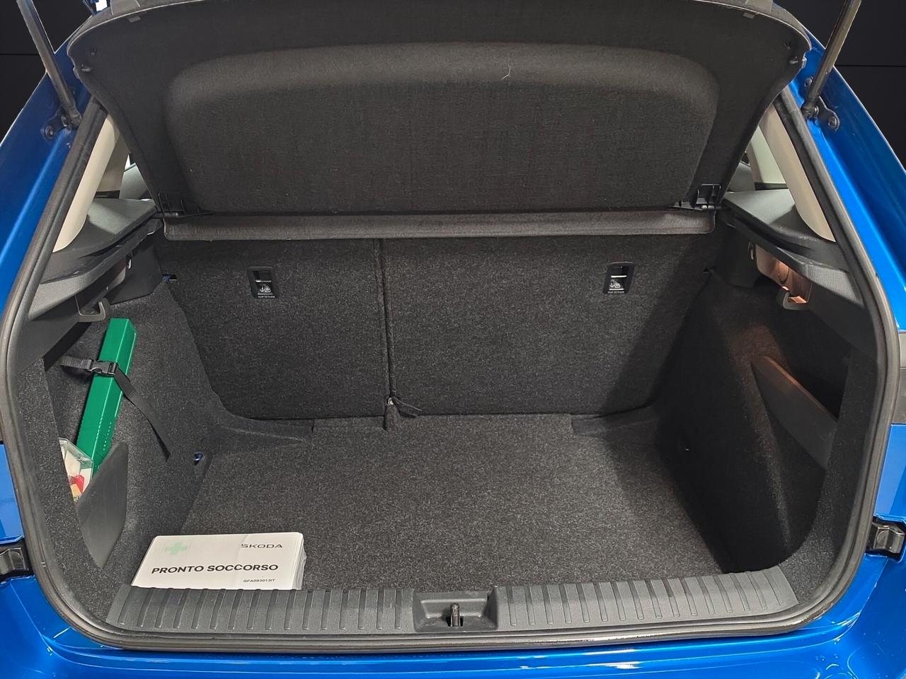 Skoda Kamiq 1.0 TSI 110 CV DSG Style