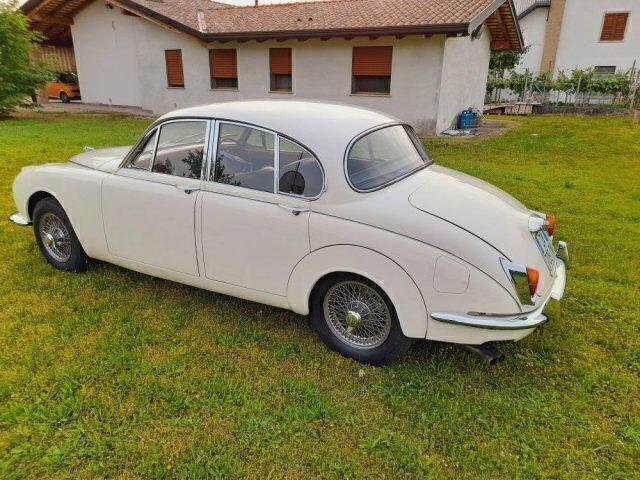 JAGUAR MK II targhe italiane OK PERMUTE