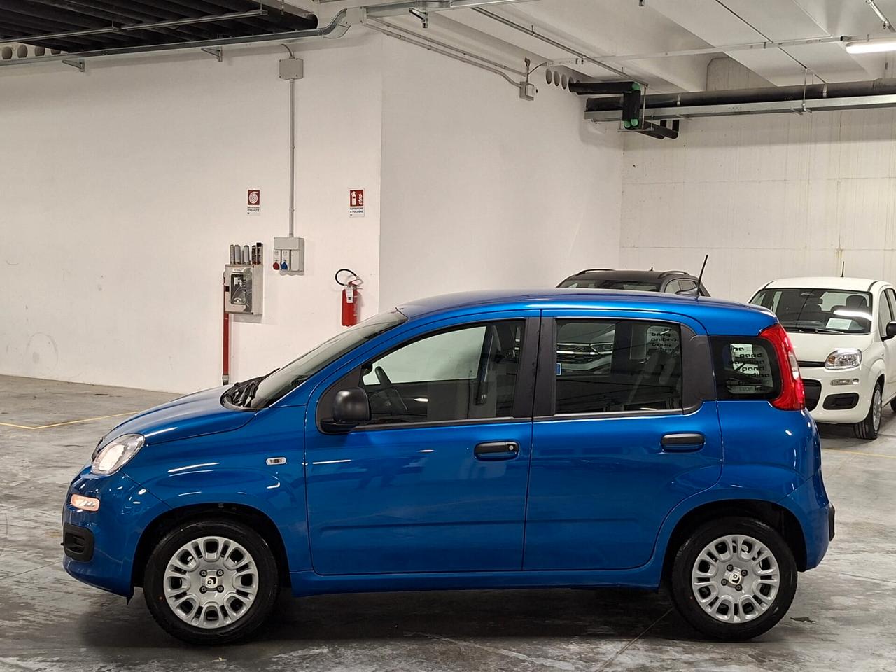 Fiat Panda 1.0 FireFly Hybrid 70CV Icon Km.0 (756)