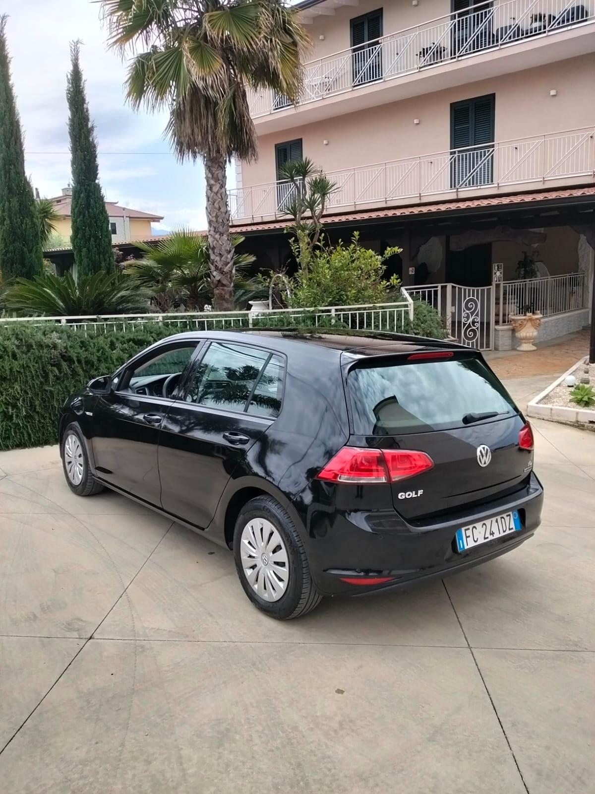 Volkswagen Golf 1.4 TGI 5p. Highline BlueMotion