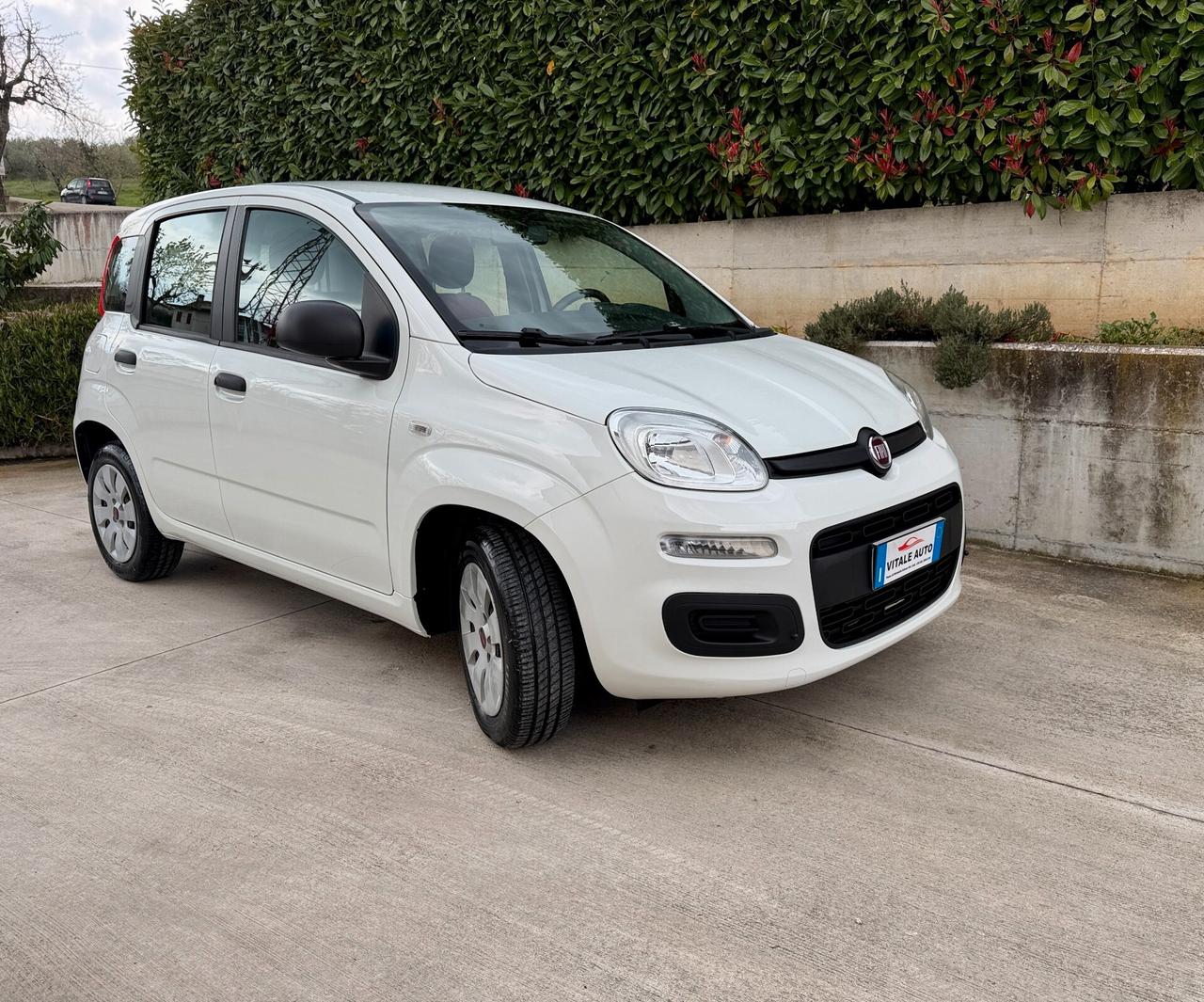 Fiat New Panda 1.2 cv 70 Euro 6B