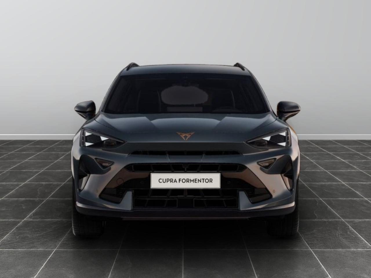 Cupra Formentor 2.0 tdi 150cv dsg