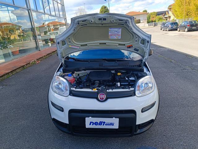 FIAT Panda 1.0 S&S Hybrid Van 2 posti