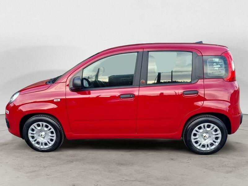 FIAT Panda NEW 1.0 70cv Hybrid Icon