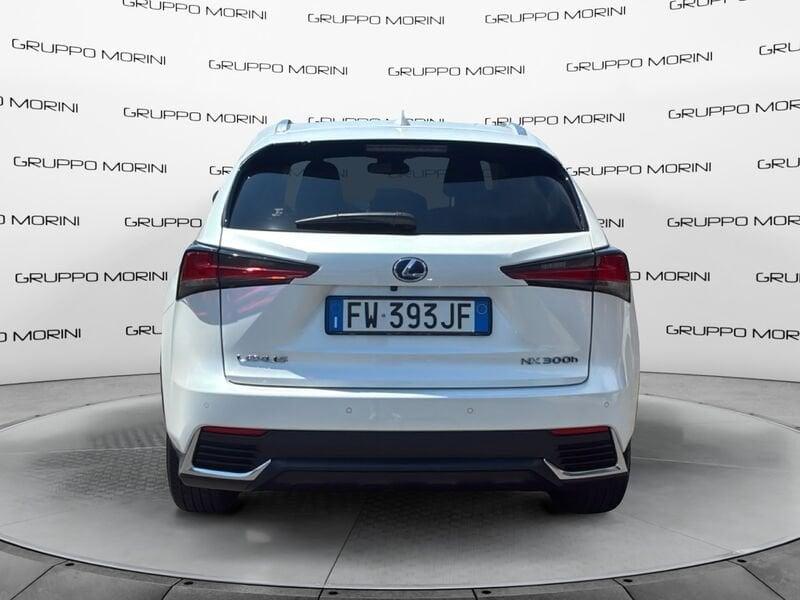 Lexus NX NX 300h 2.5 Luxury 4wd cvt