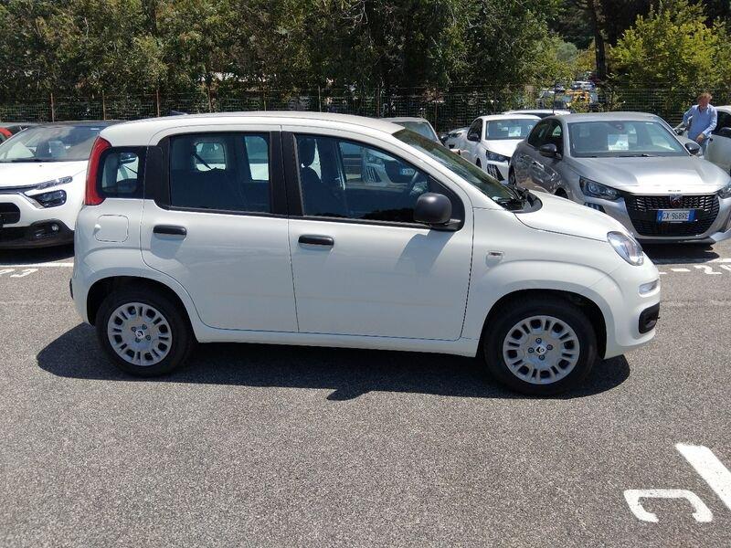 FIAT Panda New 1.0 70cv Hybrid Panda