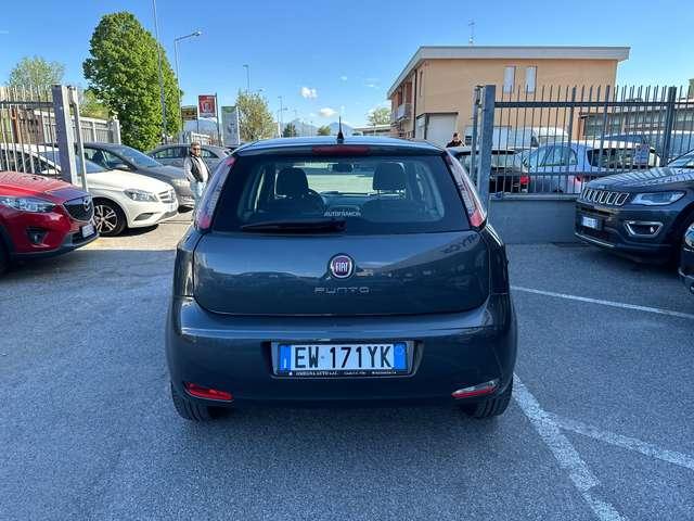 Fiat Punto Punto 5p 1.3 mjt / NEOPATENTATI