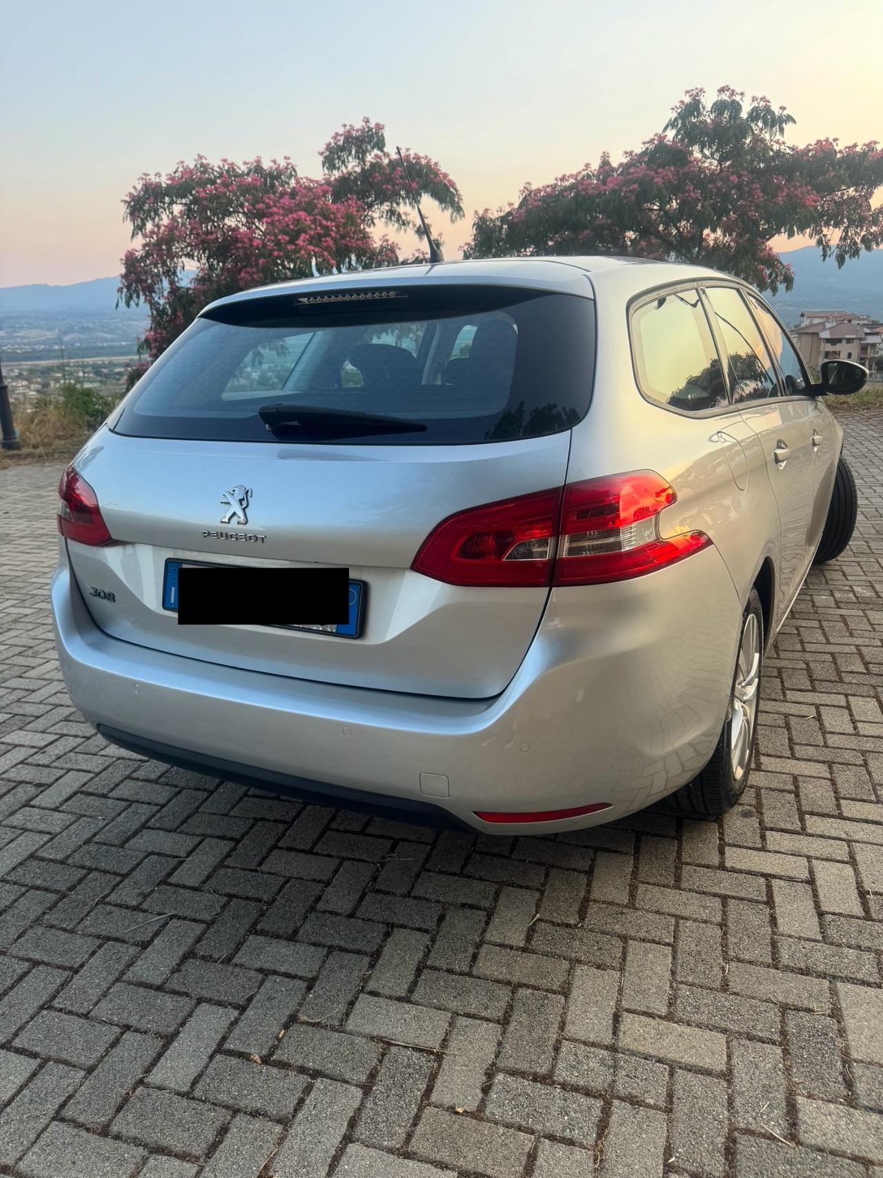 Peugeot 308 1.6 HDi 92Cv Business Sw 2015