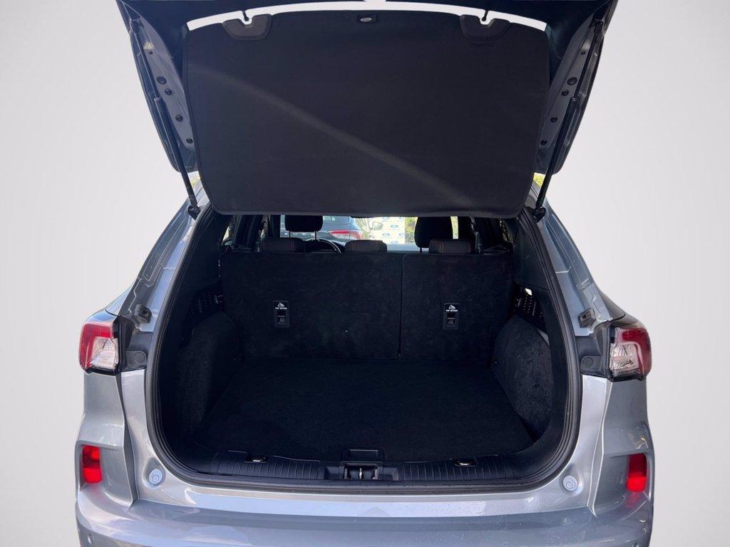 FORD Kuga 1.5 EcoBlue 120 CV aut. 2WD ST-Line del 2021