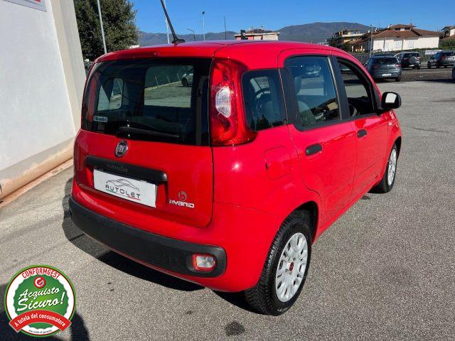 FIAT Panda 1.0 FireFly S&S Hybrid - PER NEOPATENTATO -