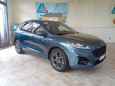 Ford Kuga 1.5 EcoBlue 120 CV aut. 2WD ST-Line