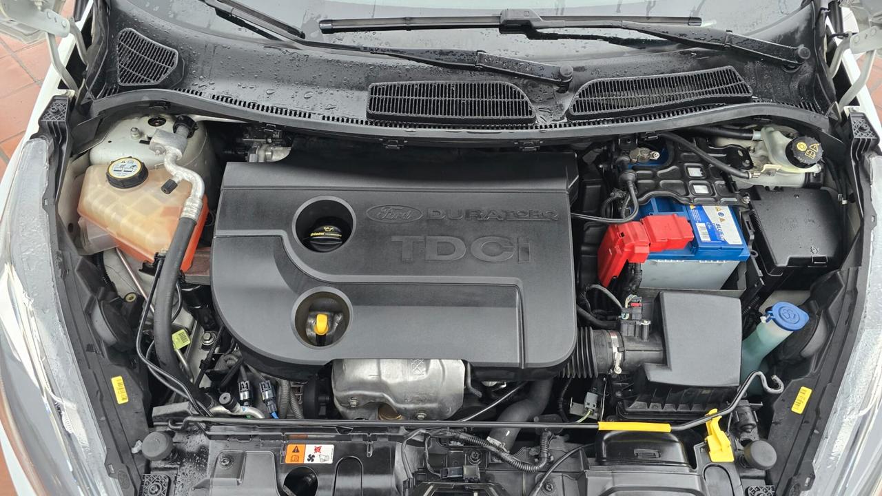 Ford Fiesta 1.5 TDCi 75CV 5 porte Titanium