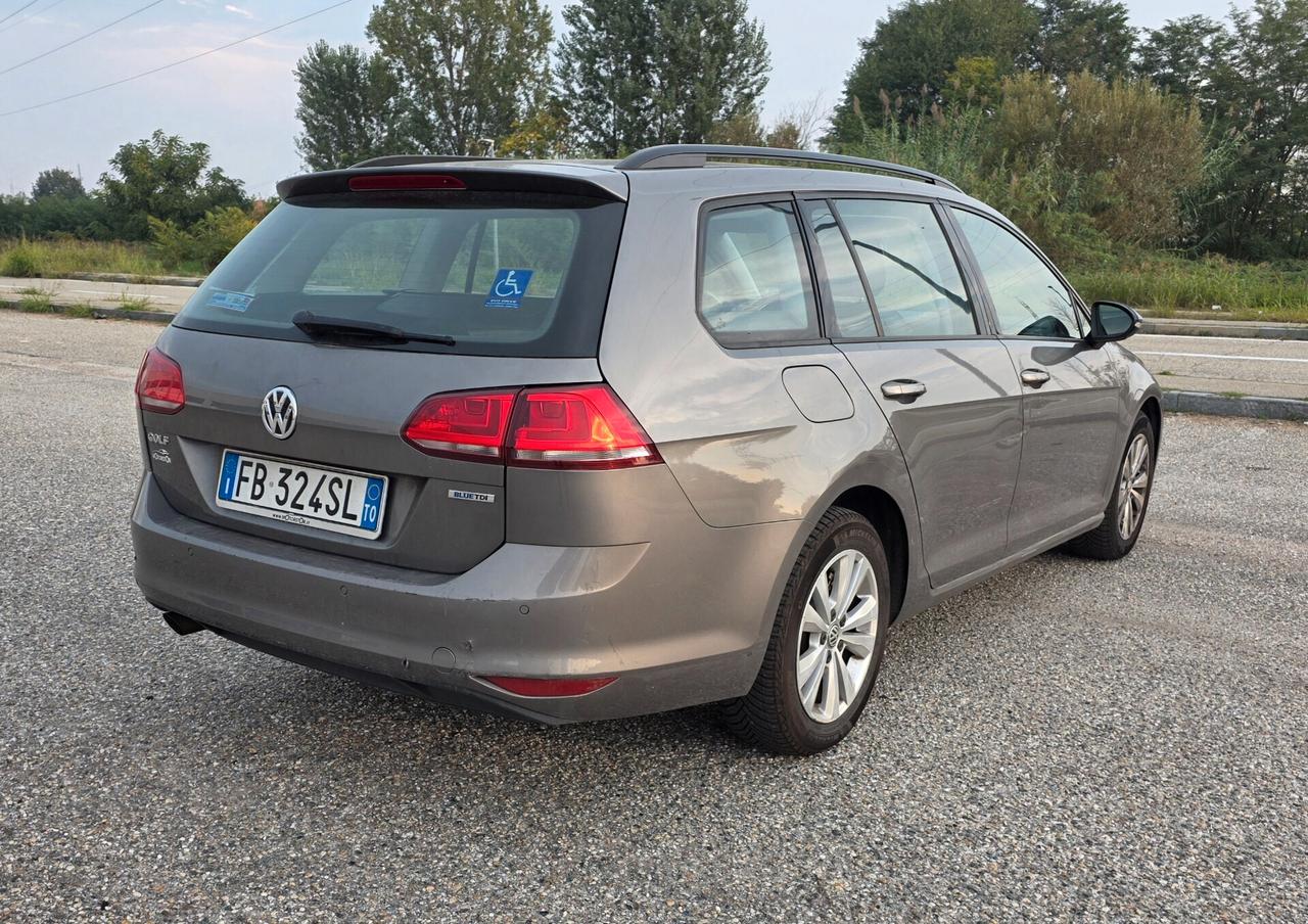 Volkswagen Golf Variant 1.6 TDI 110 CV DSG Highline