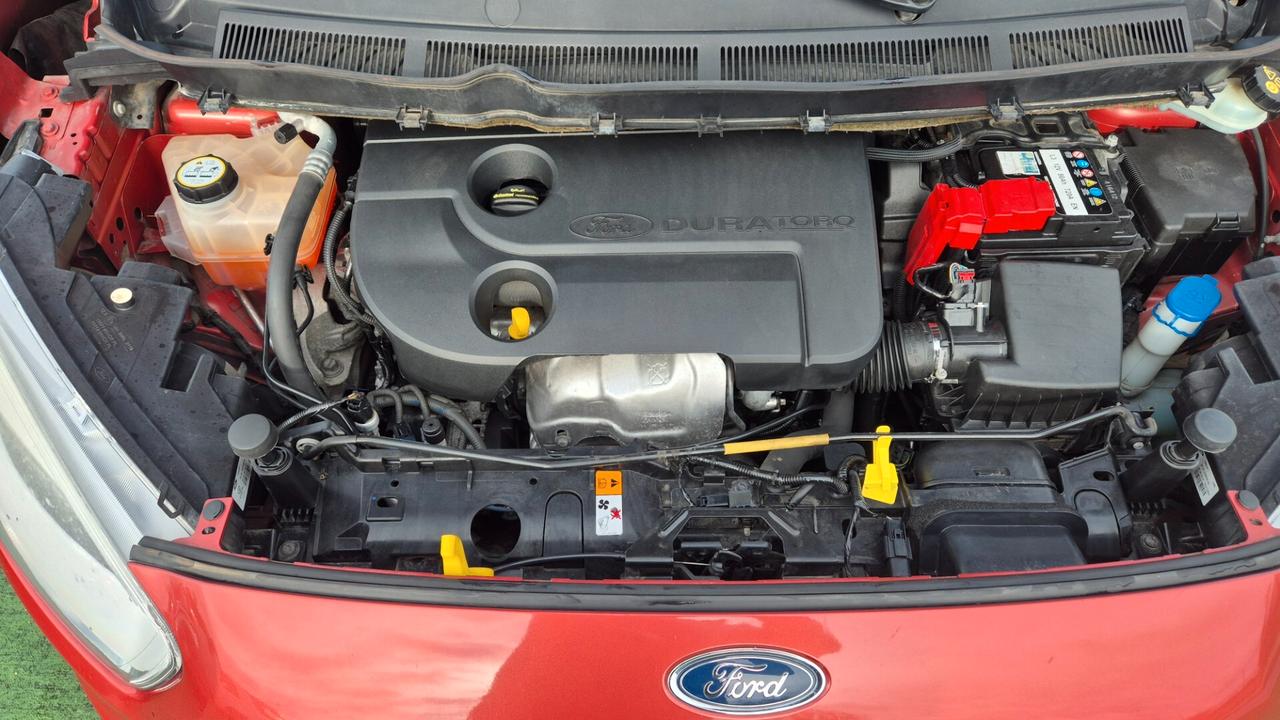 Ford Tourneo Connect 1.6 TDCi 115 CV Plus