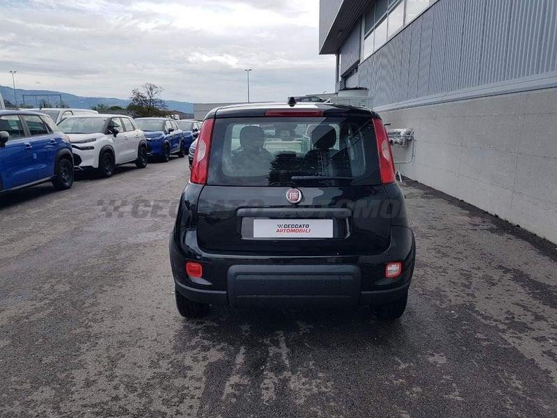 FIAT Panda 1.0 70cv Hybrid Panda