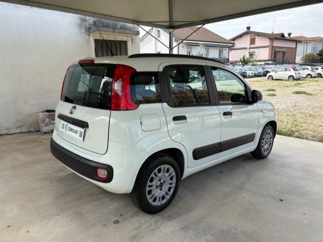 FIAT Panda 1.2 Easy EURO 5 BENZ OK NEOPATENTATI PRONTA CONS.