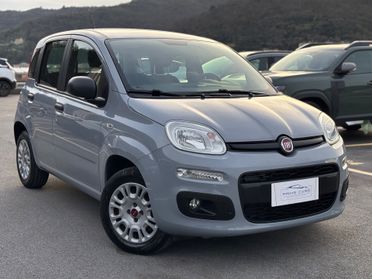 FIAT PANDA 1.0 BENZINA/HYBRID 70cv NEOPATENTATI 2021