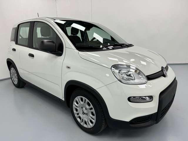 Fiat Panda *PANDINA* 1.0 HYBRID 69CV*CRUISE+SENSORI*ONLYPROMO