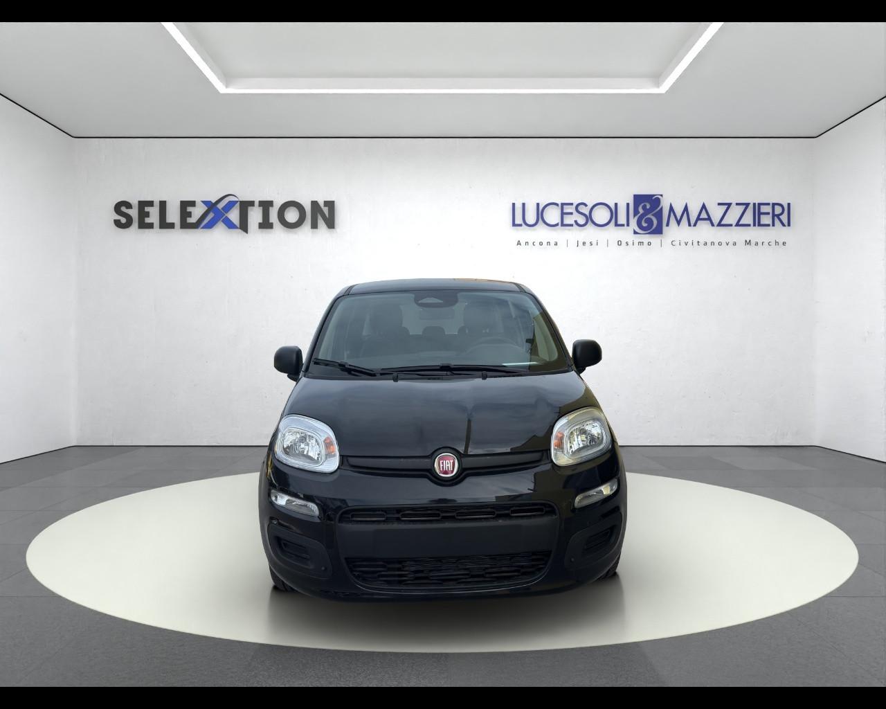 FIAT Panda 3ª serie - Panda 1.0 FireFly S&S Hybrid