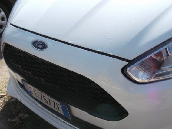 FORD Fiesta 1.5 TDCi 95CV 5 porte ST-Line