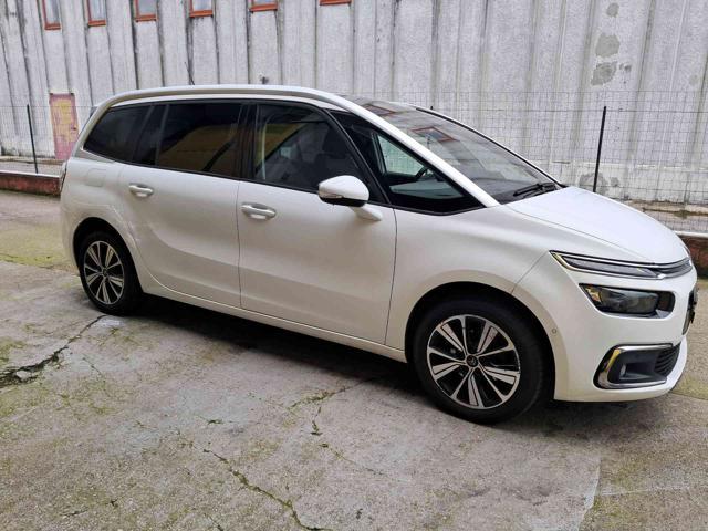 CITROEN Grand C4 Picasso BlueHDi 120 S&S Shine 7 posti Ok neopatentati