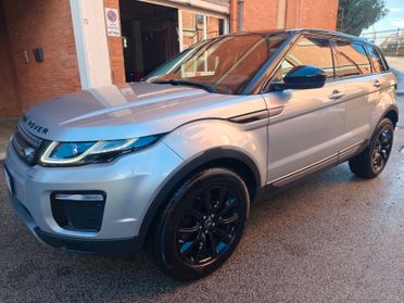 Land Rover Range Evoque 2.0 TD4 150 CV 5p. Business Edition Pure