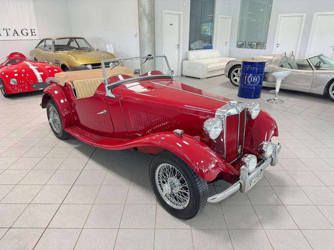 Mg TD .