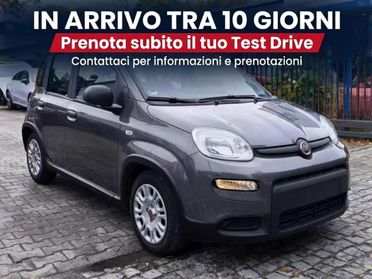 Fiat Panda 1.0 Hybrid City Life (2022) - SOLO 13.000 KM - Pari al Nuovo