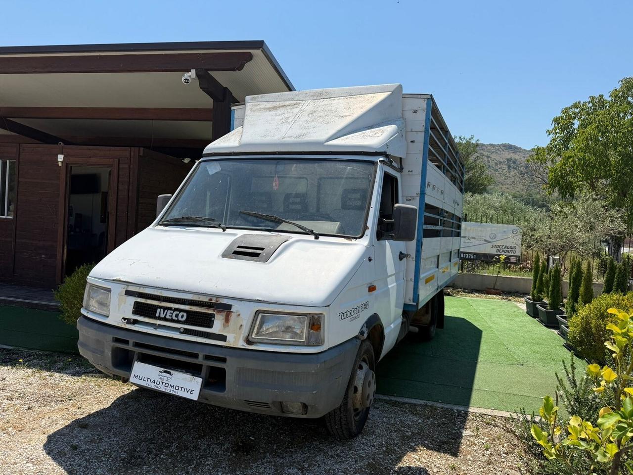 FIAT IVECO TRASPORTO ANIMALI