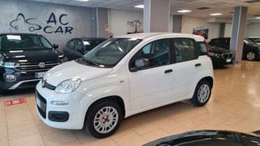 Fiat Panda Fiat Panda 1.2 easy 5 posti