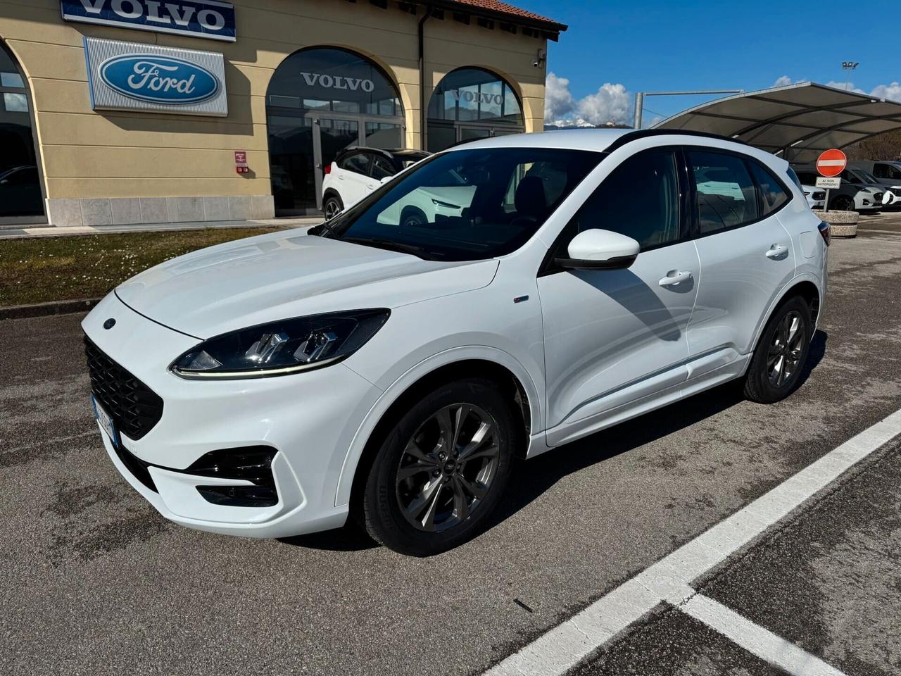 Ford Kuga St-Line 1.5 EcoBlue 120CV Automatica S&S