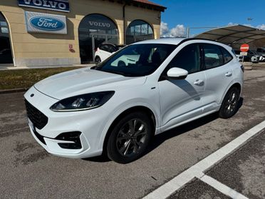 Ford Kuga St-Line 1.5 EcoBlue 120CV Automatica S&S