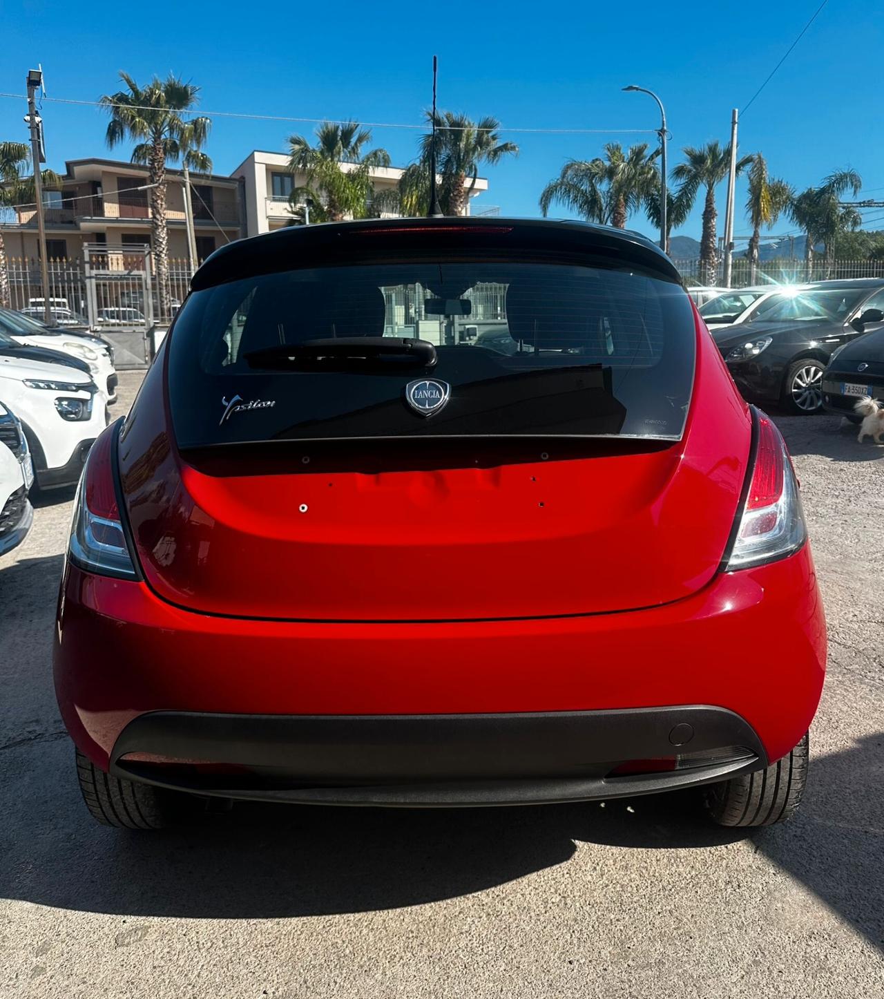 Lancia Ypsilon 1.3 MJT 16V 95 CV 5 porte S&S Platinum