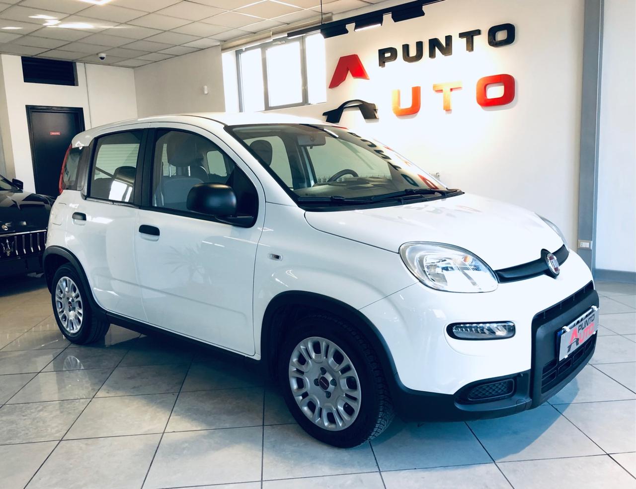 Fiat Panda 1.0 FireFly S&S Hybrid City Life