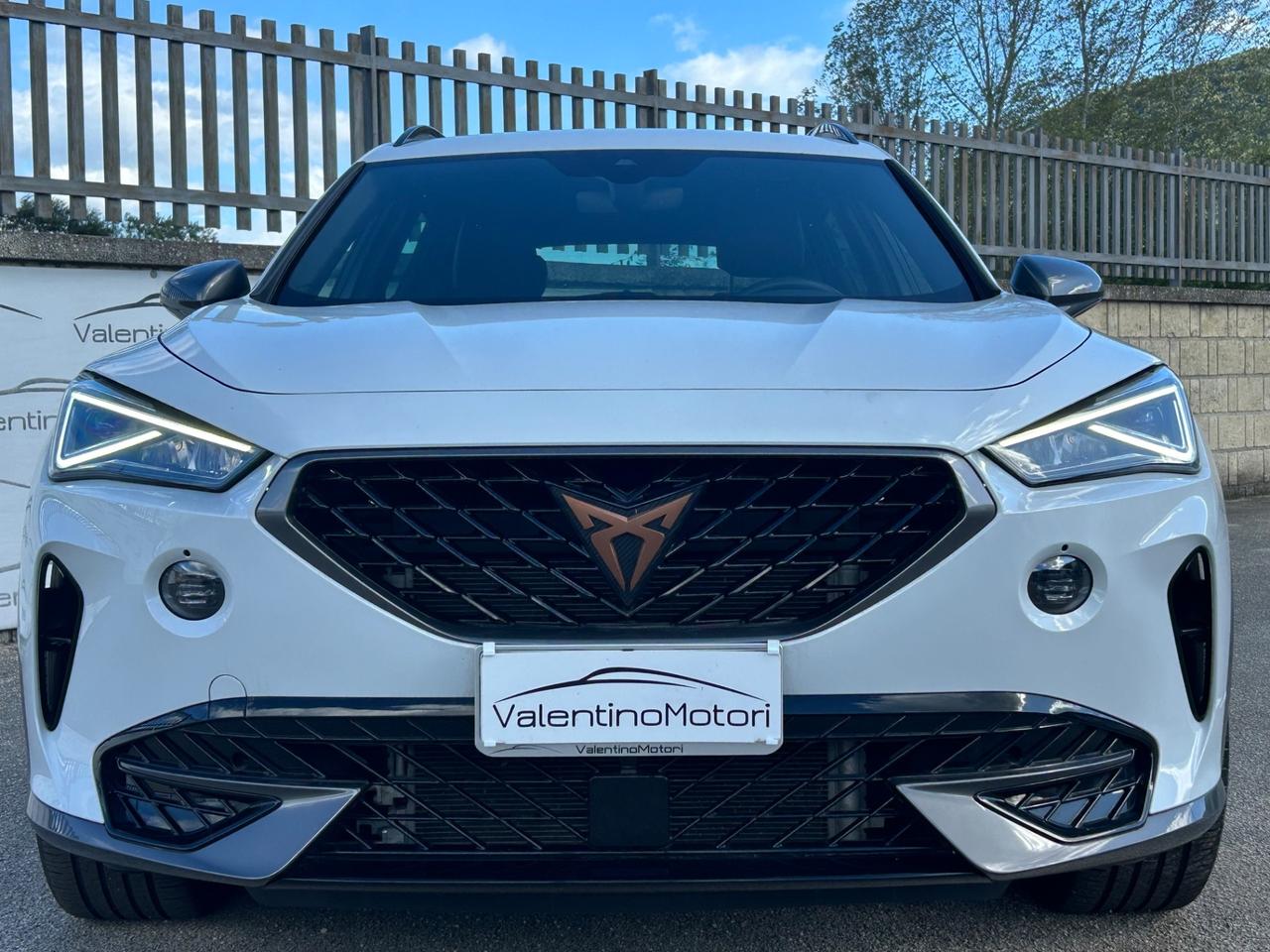 Cupra Formentor 2.0 TDI 4Drive DSG