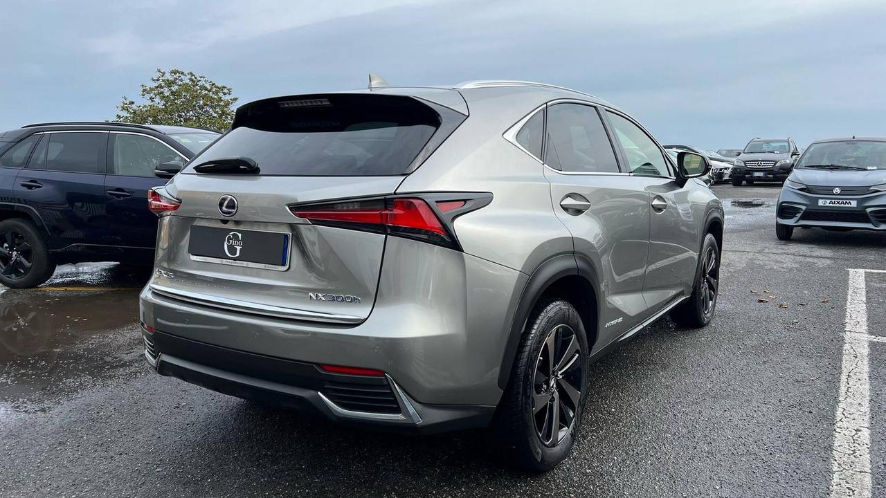 LEXUS NX 300h 2.5 Premium 4wd cvt