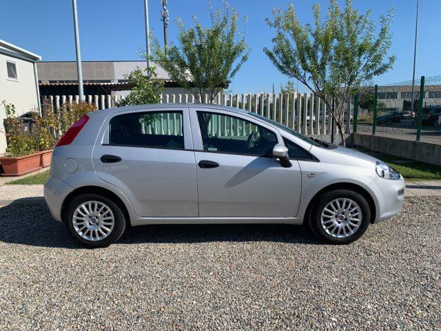 FIAT Punto 1.2 8V 5 porte Lounge