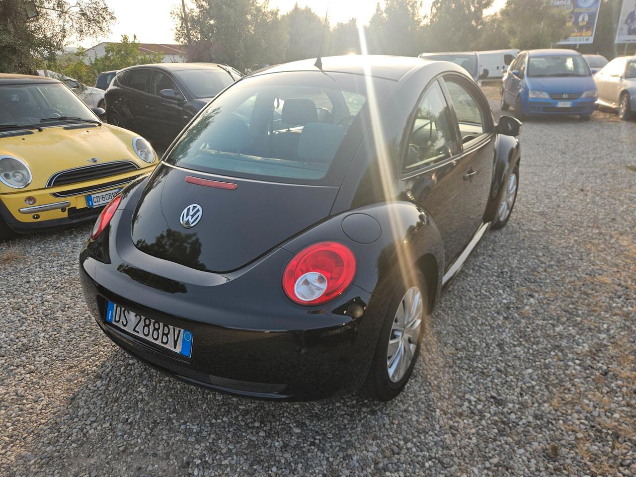 Volkswagen New Beetle 1.9 TDI 105CV