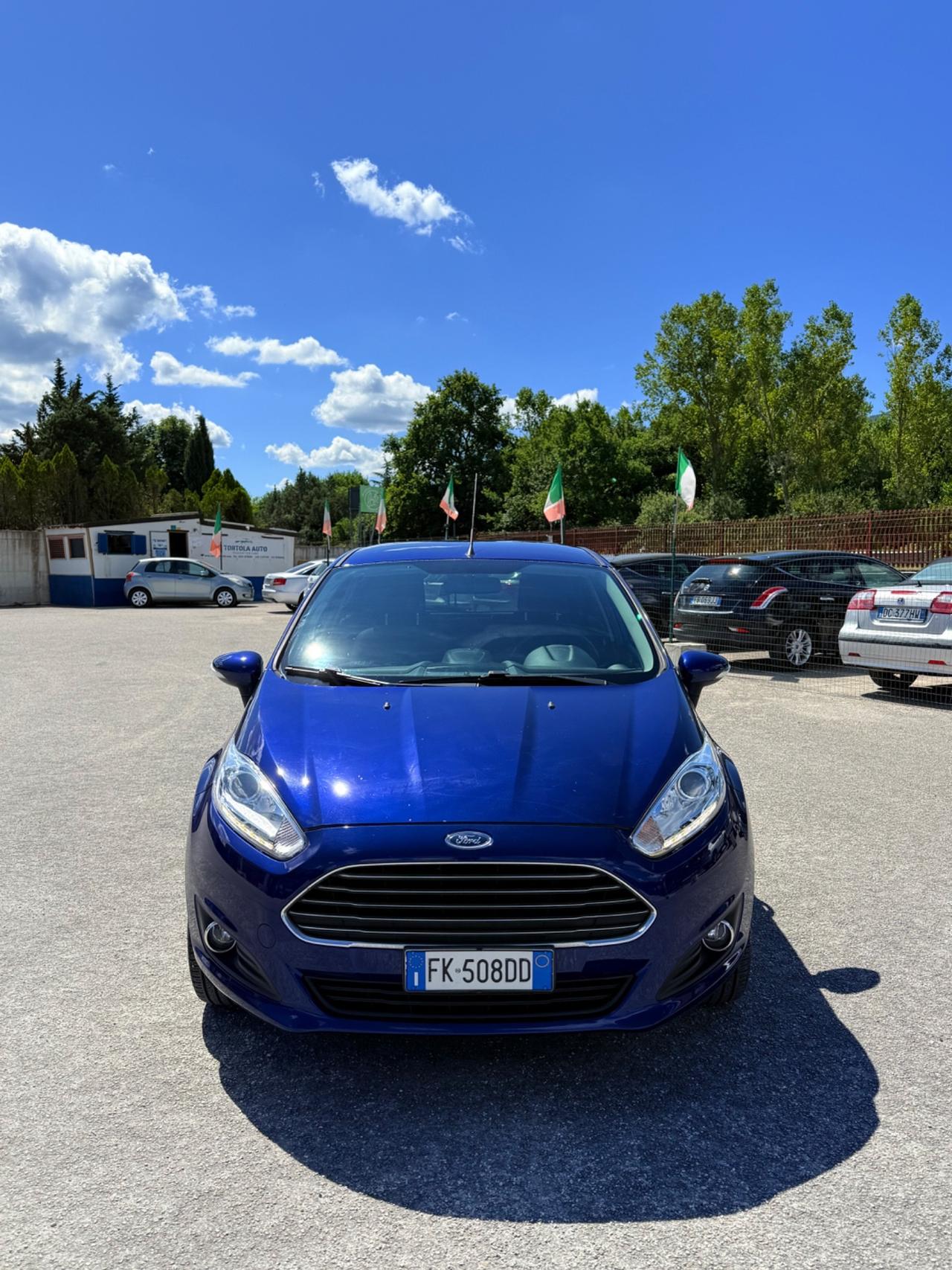 Ford Fiesta 1.4 5 porte Bz.- GPL Black & White Edition