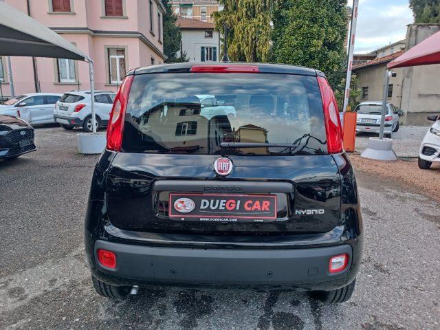 FIAT Panda 1.0 FireFly S&S Hybrid Icon