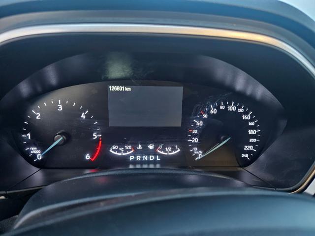 FORD Focus 1.5 EcoBlue 120 CV automatico SW Active Co-Pilot