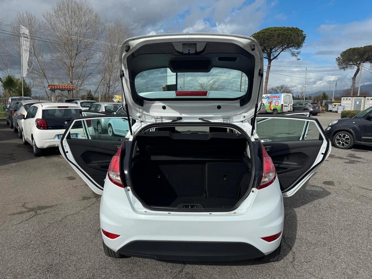 Ford Fiesta 1. GPL 95CV 5 PORTE 2016