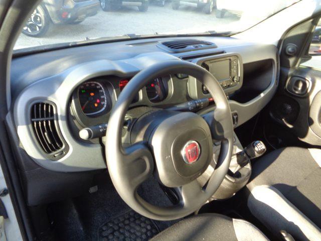 FIAT New Panda 1000 HYBRID CITY LIFE 70CV STEREO USB ITALIA